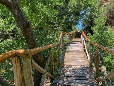 Athos Dağı'nın vahşi ormanında ahşap merdivenler