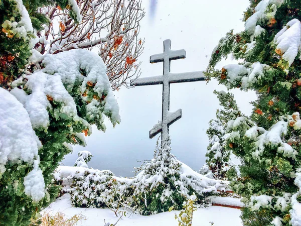 Nietypowe zjawisko na świętej górze Athos, Śnieg spadł i pokryte zielone drzewa — Zdjęcie stockowe