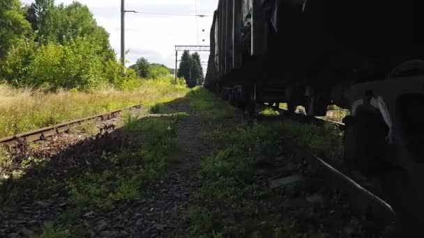 4K marchant le long d'une ornière envahie d'herbe à l'ancienne gare près du châssis du train de marchandises — Video