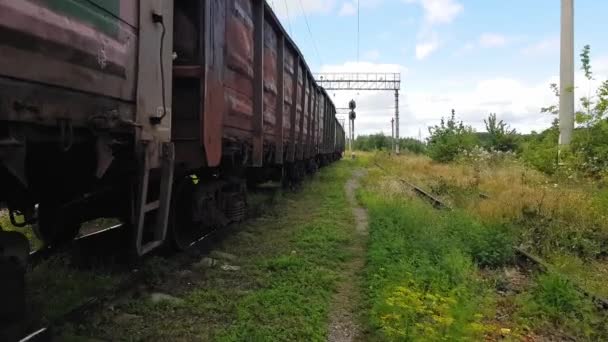 4K прогулянка вздовж колії, зарослої травою на старій залізничній станції біля шасі вантажного поїзда — стокове відео