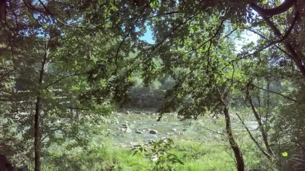 Une rivière de montagne peu profonde avec un débit rapide dans les montagnes des Carpates avec un fond rocheux. 4K Timelapse tir d'une rivière de montagne avec des ponts en pierre — Video