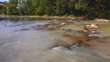 Kayalık bir alt ile Karpat dağlarında hızlı bir akış ile sığ bir dağ nehri. Taş köprüler ile bir dağ nehri 4k çekim