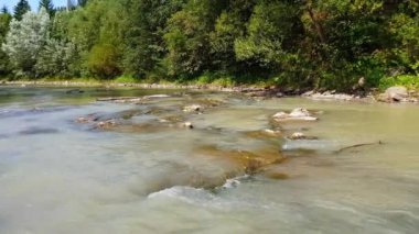Kayalık bir alt ile Karpat dağlarında hızlı bir akış ile sığ bir dağ nehri. Taş köprüler ile bir dağ nehri 4k çekim