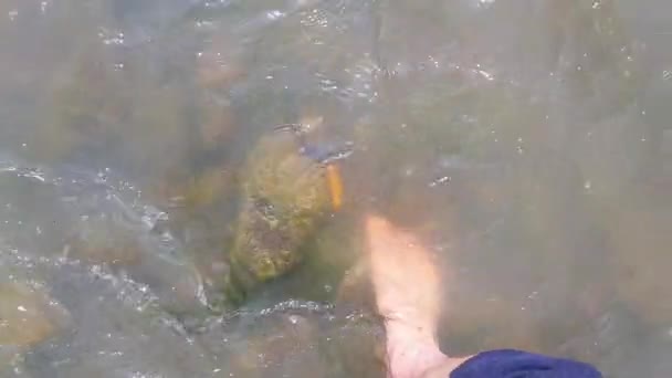 Barefoot wandelen op het water van een berg ondiepe rivier. 4k schieten van een berg rivier met stenen bruggen — Stockvideo