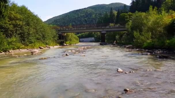 Une rivière de montagne peu profonde avec un débit rapide dans les montagnes des Carpates avec un fond rocheux. Tournage 4K d'une rivière de montagne avec des ponts en pierre — Video