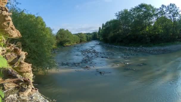 Une rivière de montagne peu profonde avec un débit rapide dans les montagnes des Carpates avec un fond rocheux. 4K Timelapse tir d'une rivière de montagne avec des ponts en pierre 
