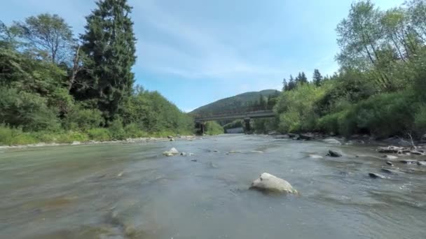 Mělká horská řeka s rychlým tokem v Karpatských horách s kamennatým dnem. 4k včasné natáčení horské řeky s kamennými mosty — Stock video