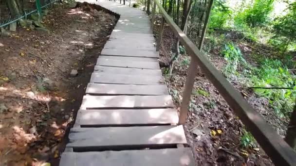 Descent down the wooden steps in the Carpathian forest — Stock Video