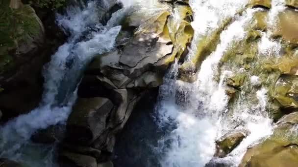 Wasser fließt zwischen Steinen. klares Wasser fällt schnell bergab und fließt um dunkle nasse Steine herum. Nahaufnahme eines Wasserfalls, der schwarze Felsen hinunterstürzt. schöner Bergwasserfall — Stockvideo