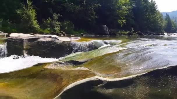 Water stroom stroomt tussen stenen. Helder water valt snel bergafwaarts en stroomt rond donkere natte stenen. Close-up van waterval gieten zwarte rotsen. Prachtige berg waterval — Stockvideo