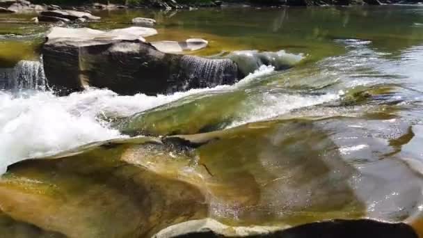 A corrente de água flui entre pedras. A água limpa cai rapidamente descendo em torno de pedras molhadas escuras. Close-up de cachoeira derramando pedras pretas. Bela cachoeira da montanha — Vídeo de Stock