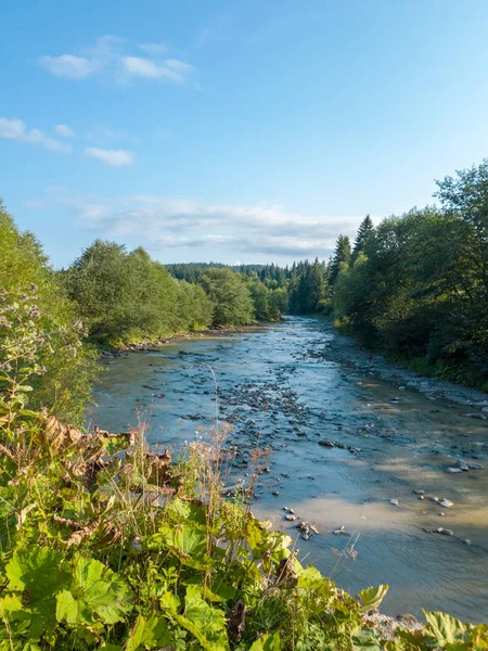 Bela paisagem com velocidade rio montanhoso na floresta de montanhas dos Cárpatos. Velocidade dos rios nas montanhas dos Cárpatos — Fotografia de Stock