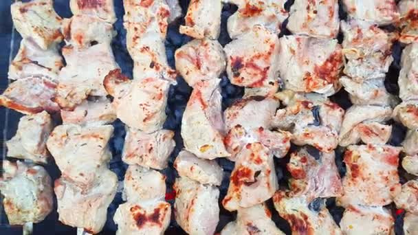 En mands hænder roterer spyddene. Shish kebab. Svinekød eller lammekød stykker bliver stegt på en trækul grill. Stegende grillede stykker kød under resten. – Stock-video