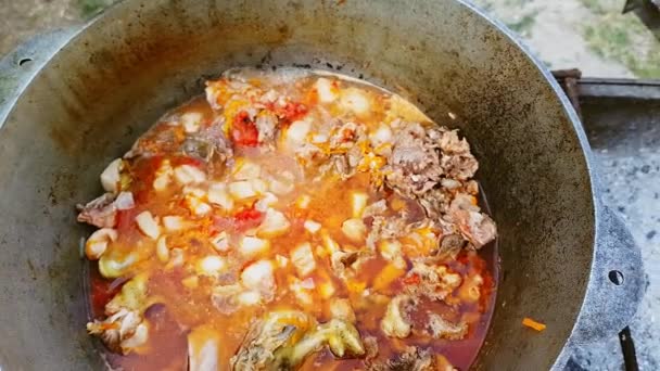 Bograch。パプリカ、肉、豆、野菜、餃子とスープ。大釜で伝統的なハンガリーのグーラッシュ。食事は屋外暖炉で調理。中央ヨーロッパで人気のあるおいしいと健康食品 — ストック動画