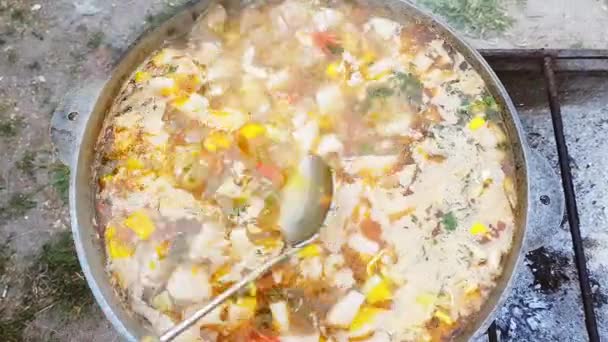 Bograch。パプリカ、肉、豆、野菜、餃子とスープ。大釜で伝統的なハンガリーのグーラッシュ。食事は屋外暖炉で調理。中央ヨーロッパで人気のあるおいしいと健康食品 — ストック動画
