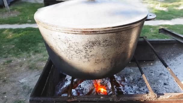 Bograch. Soppa med kött, grönsaker, bönor, paprika, klimp. Traditionell ungersk gulasch i kitteln. Mat lagad utomhus över öppen eld. Läcker och hälsosam mat som är populära i Centraleuropa — Stockvideo