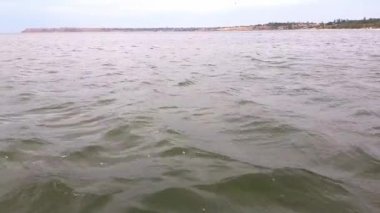 Bir adam sakin havalarda suda denize bacaklar ile bir katamaran kuyruğunda oturur.