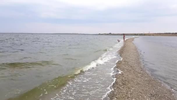 Beautiful view of family walking along spit. Mom and little daughter walk on the spit in early autumn — Stock Video