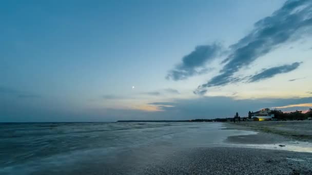 Timelapse: O pôr do sol refletiu na areia da praia molhada com ondas oceânicas e gaivotas. Um tronco de primeiro plano encalhado adiciona interesse. 4k . — Vídeo de Stock