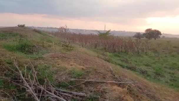 Západ slunce nad loukou s vysokými thistkami na venkově na začátku podzimu. — Stock video