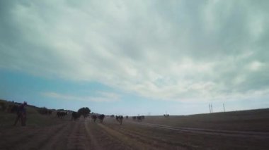 4k Hiperlapse, deniz kenarındaki eski toprak yolda..