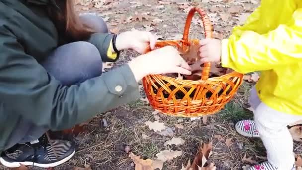 Çocuklu anne, sonbahar yapraklarını renkli boyalarla boyanmış beyaz kağıt yapraklardan oluşan bir çelengin yakınındaki parkta topluyor.. — Stok video