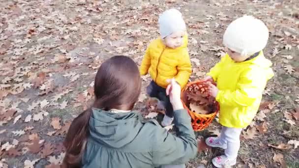 Mama z dziećmi zbiera jesienne liście w parku przy girlandzie białych liści papieru z napisem Jesień malowana kolorowymi farbami. — Wideo stockowe