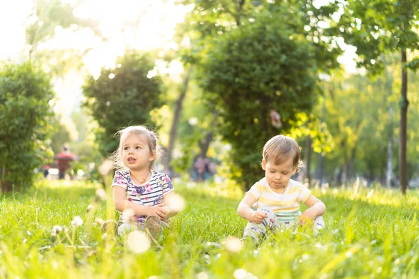 Concepto de infancia, verano y ocio: dos bebés felices y lindos de gemelos irlandeses niño y niña sentados en hierba brillante con dientes de león en la luz de fondo de una puesta de sol en el parque . — Foto de Stock