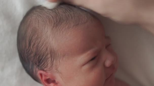 Βρεφική ηλικία, παιδική ηλικία, μητρότητα, υγιεινή, ιατρική και υγεία έννοια - γυναικεία moms χέρι σκουπίζει το κεφάλι του νεογέννητου γυμνού μωρού με βαμβάκι μαξιλάρι που βρίσκεται σε πάνα στην πλάτη με ομφαλό σφιγμένο από ιατρικό κλιπ — Αρχείο Βίντεο
