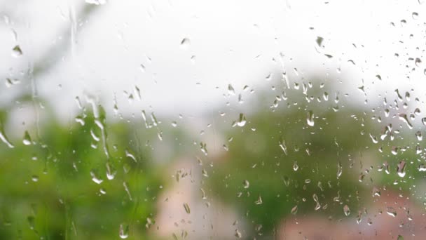 Previsión del tiempo, concepto de salvapantallas de vídeo - gotas de lluvia de primer plano fluyen por el panel de la ventana con el flujo de agua sobre un fondo borroso de ramas de árboles verdes balanceándose del viento. Video de bucle de enfoque selectivo — Vídeos de Stock