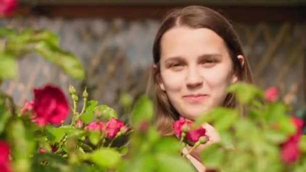 Floristry, botanika, příroda, ženy den, svátky a dárky koncept - zblízka krásná roztomilá dívka slovinského vzhledu s volnými vlasy bez make-upu v blízkosti svěží kvetoucí růže keře v zahradě. — Stock video