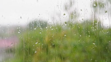 Hava tahmini, video ekran koruyucuları konsepti - yakın çekim yağmur damlaları rüzgardan sallanan yeşil ağaç dallarının bulanık arka planında su akışı ile pencere camından aşağı akıyor. Seçici odak döngüsü videosu