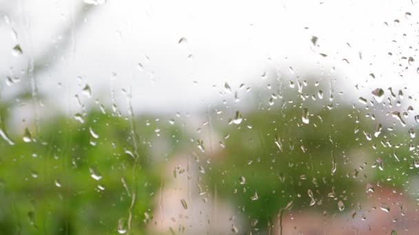 Previsioni del tempo, il concetto di screensavers video - le gocce di pioggia di primo piano fluiscono giù il vetro di finestra con corrente d'acqua su sfondo sfocato di rami di albero verdi che ondeggiano da vento. Video selettivo del ciclo di messa a fuoco — Video Stock