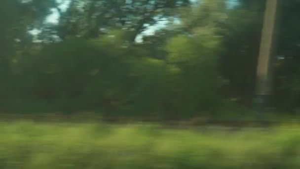 Vervoer, reizen, weg, spoorweg, landschap, comnicatie concept - uitzicht vanuit het raam van de sneltrein op het landschap van prachtige natuurgebieden van weiden van natuur en bos op een heldere dag met wolken — Stockvideo