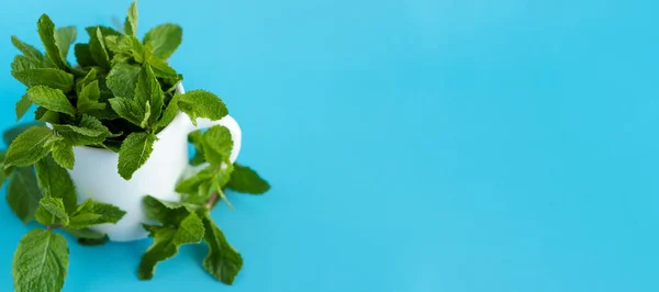 Cafés y restaurantes, bebidas refrescantes, productos naturales, concepto de comida saludable - la colocación de paquetes de pancartas de hojas de menta verde fresca en la taza de té blanco mugón de café azul-azul espacio de copia de fondo . — Foto de Stock