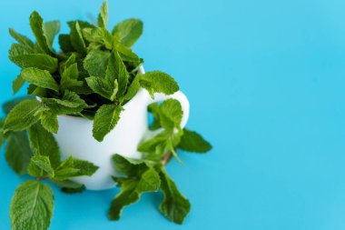 Kafeler ve restoranlar, ferahlatıcı içecekler, doğal ürünler, sağlıklı gıda konsepti - beyaz çay fincanının içinde taze yeşil dallar ve nane yaprakları serili kahve mugon mavi arka plan fotokopi alanı