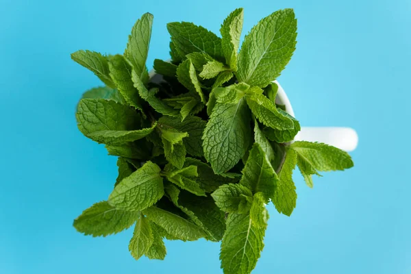 Cafés y restaurantes, bebidas refrescantes, productos naturales, concepto de comida saludable - presentación de paquetes de ramitas verdes frescas y hojas de menta en taza de té blanco mugón de café azul-azul espacio de copia de fondo — Foto de Stock