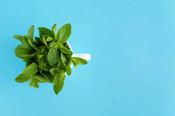 咖啡店、餐厅、清爽饮品、天然产品、健康食品概念- -在白茶杯咖啡中摆放一丛丛新鲜绿枝和薄荷叶蓝调背景 — 图库照片