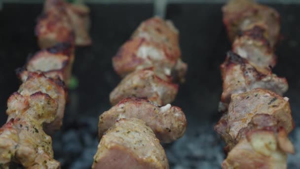 Cafés y restaurantes, cocina, picnic, concepto de cocina oriental: primer plano de cerdo y kebab de pollo encordado en pincho ahumado y frito en una parrilla sobre carbones asados. Barbacoa exterior mens mano cierra tapa — Vídeo de stock