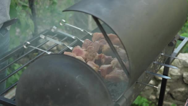 Cafes and restaurants, cooking, picnic, oriental kitchen concept - close-up pork and chicken kebab strung on skewer smoked and fried in grill on roasted coals. mens hand heat with wave under barbecue — Stock Video