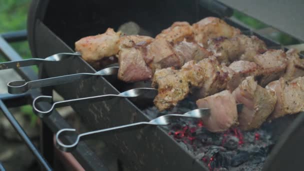Cafeer og restauranter, madlavning, picnic, orientalsk køkken koncept close-up svinekød og kylling kebab spændt på spyd røget og stegt i grill på ristede kul. varme med bølge under grill – Stock-video