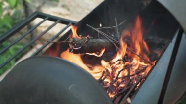 Yemek pişirme, doğu mutfağı, orman yangınları, kundakçılık konsepti - sigara ve sebze kızartmak için siyah metalik ızgarada ateş yakmak ve dışarıda, vahşi hayatın sıcağında dumanla et ve sebze kızartmak..
