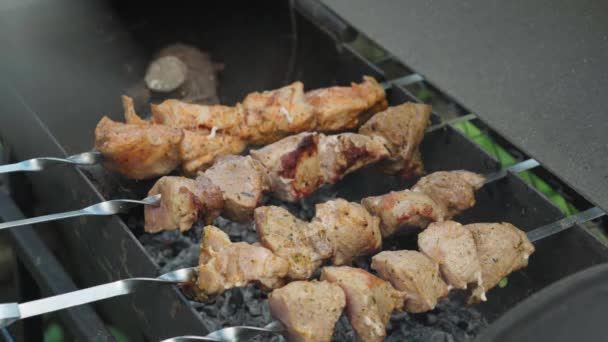 Cafés y restaurantes, cocina, picnic, concepto de cocina oriental: primer plano de cerdo y kebab de pollo encordado en pincho ahumado y frito a la parrilla sobre carbones asados. calor con olas bajo barbacoa — Vídeo de stock