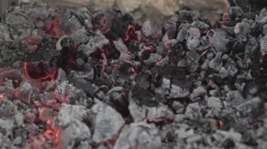 Kafeler ve restoranlar, yemek pişirme, piknik, doğu mutfağı konsepti yakın plan domuz eti ve kızarmış kömürde ızgarada kızartılmış tavuk kebabı. Açık havada mangal yapan adamın eli kapağı kapatır.