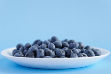 meyve ve sebze, vitamin, sağlıklı yiyecek ve içecek, geleneksel tıp, gastronomi konsepti - beyaz tabakta taze mor böğürtlen düzeni veya parlak mavi arkaplan fotokopi alanı üzerinde kap