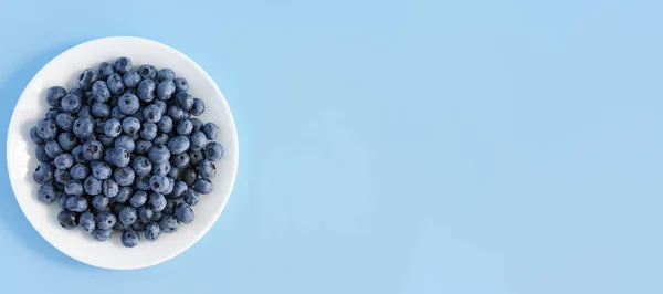 Fruit and vegetables, vitamin, healthy food and drink, traditional medicine, gastronomy concept - banner fresh purple blueberry berries in white plate or vessel on bright blue background copy space — Stock Photo, Image