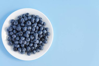 meyve ve sebze, vitamin, sağlıklı yiyecek ve içecek, geleneksel tıp, gastronomi konsepti - beyaz tabakta taze mor böğürtlen düzeni veya parlak mavi arkaplan fotokopi alanı üzerinde kap