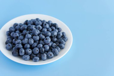 meyve ve sebze, vitamin, sağlıklı yiyecek ve içecek, geleneksel tıp, gastronomi konsepti - beyaz tabakta taze mor böğürtlen düzeni veya parlak mavi arkaplan fotokopi alanı üzerinde kap