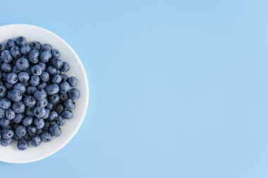 meyve ve sebze, vitamin, sağlıklı yiyecek ve içecek, geleneksel tıp, gastronomi konsepti - beyaz tabakta taze mor böğürtlen düzeni veya parlak mavi arkaplan fotokopi alanı üzerinde kap