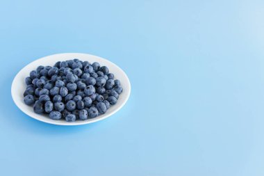 meyve ve sebze, vitamin, sağlıklı yiyecek ve içecek, geleneksel tıp, gastronomi konsepti - beyaz tabakta taze mor böğürtlen düzeni veya parlak mavi arkaplan fotokopi alanı üzerinde kap